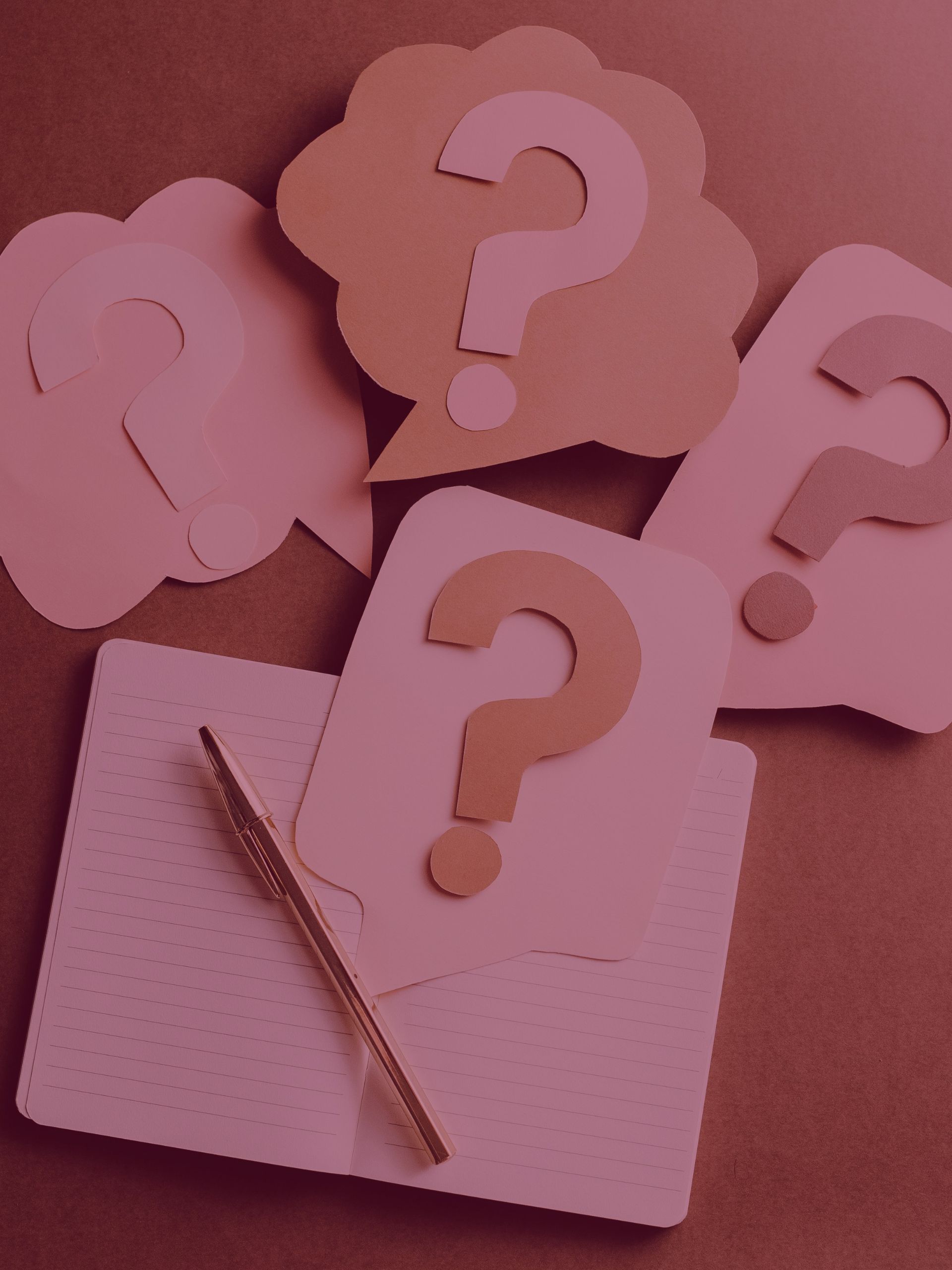 Beke Lübben - Instagram Coaching Instagram Betreuung